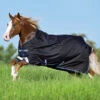 Horseware Ireland Pony Horseware Amigo Bravo 12 Original Rain Sheet -Horse Care Supply Store AARA16 BBE0 RGB 69830.1675109360