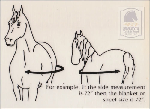 5/A Baker Original Stable Blanket 3 5/A Baker Original Stable Blanket