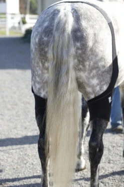 Ice Horse Stifle Wrap -Horse Care Supply Store aaaaaaaowyimage1 64645 48440.1595626958