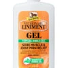 Absorbine Veterinary Liniment Gel - 12 Oz -Horse Care Supply Store absorbine veterinary liniment 12oz gel 62266 87318.1558901393