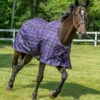 Pessoa Alpine Plaid Turnout Blanket -Horse Care Supply Store alpine plaid mulberry horse 464231 pessoa 34419.1664588523