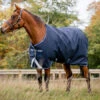Horseware Ireland Horseware Amigo Bravo 12 Medium Turnout 250g -Horse Care Supply Store amigo bravo 12 250g blue 1 aara42 bcskHW 76830.1675370525