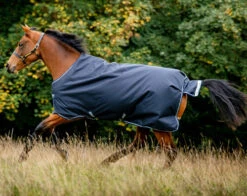 Horseware Ireland Horseware Amigo Bravo 12 Medium Turnout 250g -Horse Care Supply Store amigo bravo 12 250g blue side aara42 bcskHW 17953.1675370389