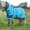 Horseware Ireland Amigo Hero 6 Petite Plus Turnout Sheet -Horse Care Supply Store amigo hero 6 petite plus sheet delphinium front AKPPJ0 DBB0 HW 66550.1675469128
