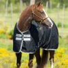 Horseware Ireland Rambo Amigo Stock Horse Rain Sheet -Horse Care Supply Store amigo stock horse rain sheet black 47395.1675107078