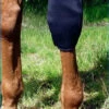 Back On Track Knee Boots -Horse Care Supply Store back on track ceramic knee boots 1 14393 69663.1587775496