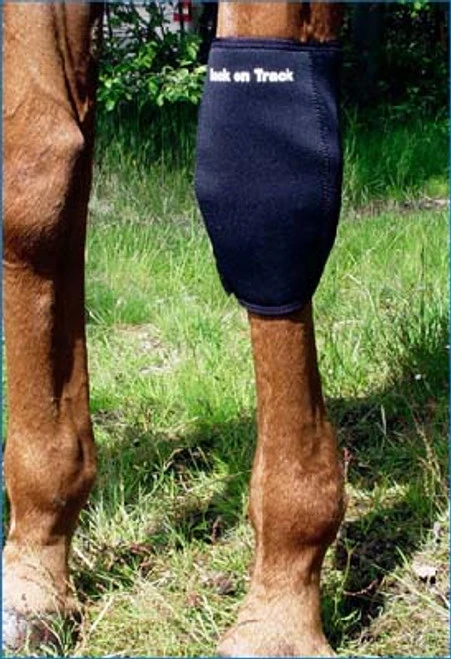 Back On Track Knee Boots 3 Back On Track Knee Boots