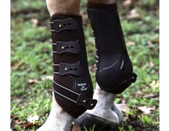 Back On Track Royal Work Boots -Horse Care Supply Store back on track flatwork boots on horse 07159.1543008250