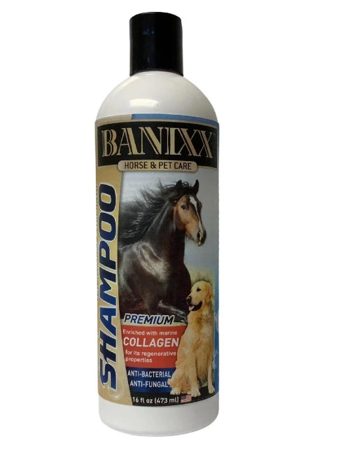Banixx Medicated Shampoo 3 Banixx Medicated Shampoo
