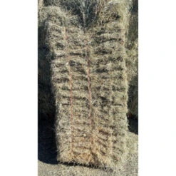 Bermuda Hay Bale