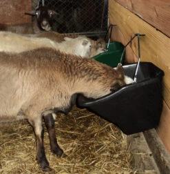 Little Giant 20 Quart Better Bucket -Horse Care Supply Store better bucket 20qt black goat BB20BLACK little giant 69563.1677811936