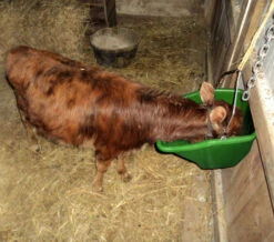 Little Giant 20 Quart Better Bucket -Horse Care Supply Store better bucket 20qt green goat BB20GREEN little giant 71125.1677811943