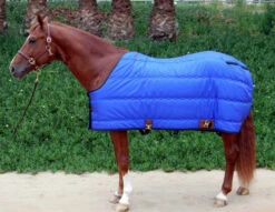 Big D Kodiak Stable Blanket 8 Big D Kodiak Stable Blanket -Horse Care Supply Store big d kodiak stable blanket royal 40392.1649964250