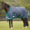 WeatherBeeta ComFiTec Plus Dynamic Rain Sheet -Horse Care Supply Store comfitec dynamic plus medium black aqua crop 1006914025 weatherbeeta 73914.1662065032