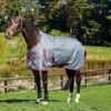 Pony WeatherBeeta ComFiTec Plus Dynamic Standard Turnout -Horse Care Supply Store comfitec dynamic plus standard grey burgundy weatherbeeta 40212.1662064205