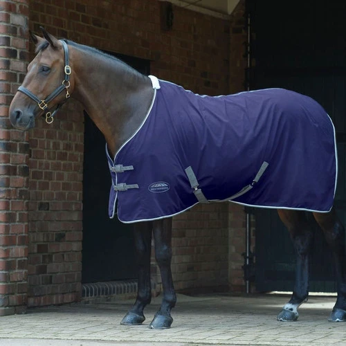 WeatherBeeta Cotton Show Sheet With Surcingles II 5 WeatherBeeta Cotton Show Sheet With Surcingles II - Image 3