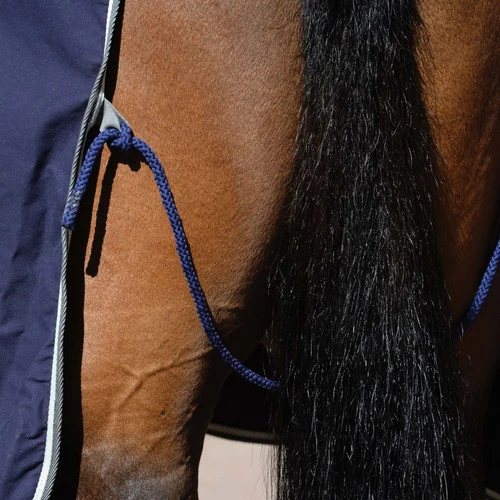 WeatherBeeta Cotton Show Sheet With Surcingles II 4 WeatherBeeta Cotton Show Sheet With Surcingles II - Image 2