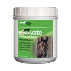 Elevate Maintenance Powder