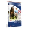 Purina Equine Active Senior -Horse Care Supply Store equine active senior 3003276 506 purina 90433.1628121122