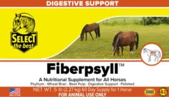 Select The Best Fiberpsyll