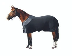 Back On Track Fleece Blanket 7 Back On Track Fleece Blanket -Horse Care Supply Store fleece blanket on horse 2110 back on track 14712.1573778679