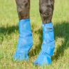 Cashel Crusader Fly Leg Guards 1 Cashel Crusader Fly Leg Guards -Horse Care Supply Store fly leg guard blue horse LG3.101 cashel 61461.1660068445
