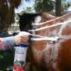 Vetericyn FoamCare Medicated Shampoo -Horse Care Supply Store foamcare equine med shampoo horse vetericyn 67372.1620168582