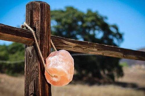 Himalayan Rock Salt On Rope 3 Himalayan Rock Salt On Rope