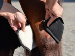 Click Hock Shield Ultra -Horse Care Supply Store hock shield ultra step1 click 29754.1663802301