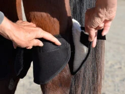 Click Hock Shield Ultra -Horse Care Supply Store hock shield ultra step2 click 19516.1663802303