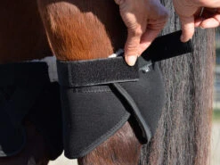 Click Hock Shield Ultra -Horse Care Supply Store hock shield ultra step4 click 07805.1663802308