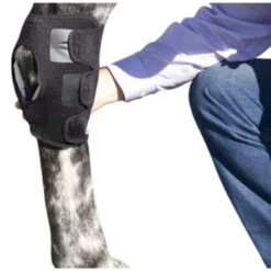 Ice Horse Hock Wrap With Inserts - SINGLE -Horse Care Supply Store hock wrap applied ice horse 63106.1642972773