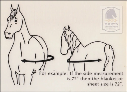 Horse Embroidered Fly Sheet By Centaur 4 Horse Embroidered Fly Sheet By Centaur - Image 2