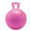 Scented Jolly Ball Horse Toy 2 Scented Jolly Ball Horse Toy -Horse Care Supply Store jolly ball pink bubblegum horsemens pride 92589.1634759422