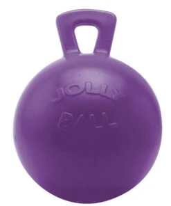 Jolly Ball Horse Toy