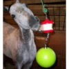 Jolly Stall Snack Combo Horse Toy 2 Jolly Stall Snack Combo Horse Toy -Horse Care Supply Store jolly stall snack combo HP 28287.1670982381