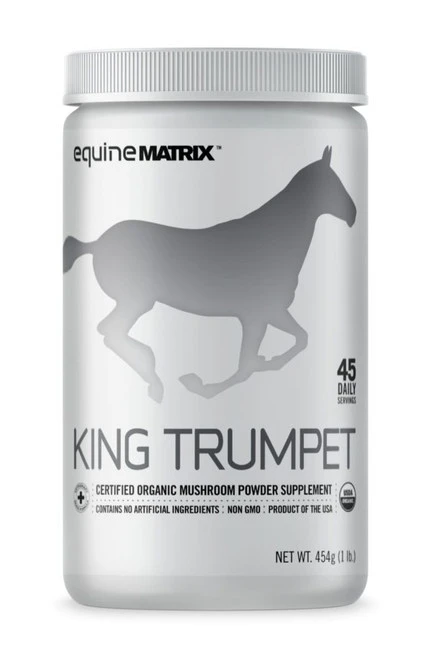 King Trumpet Equine Matrix 4 King Trumpet Equine Matrix - Image 2