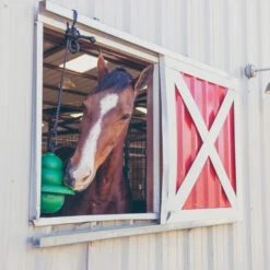 Kong Equine Hanging Kit Horse Toy 13 Kong Equine Hanging Kit Horse Toy -Horse Care Supply Store kong hanging standard green window kong equine 56075.1638045204