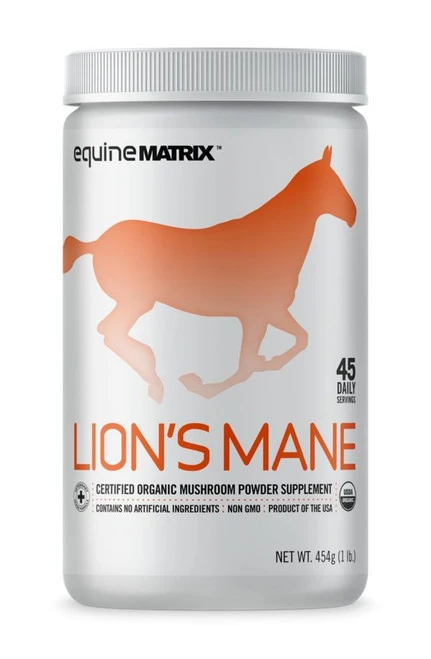 Lion's Mane Equine Matrix 4 Lion's Mane Equine Matrix - Image 2