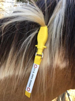 ManeStay Emergency ID Tag -Horse Care Supply Store mane stay ice info on mane 64532.1540845440