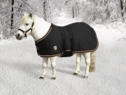 Kensington Mini All Around Light Turnout 80g 7 Kensington Mini All Around Light Turnout 80g -Horse Care Supply Store mini all around light black kensington 09547.1575508576