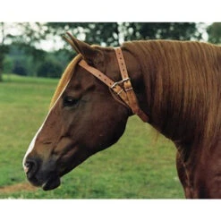 Weaver Leather Miracle Collar -Horse Care Supply Store miracle collar 3 90091 79088.1527294331