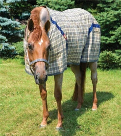 5/A Baker Stable Sheet -Horse Care Supply Store original baker sheet tan horse front 7002 baker 75207.1672865920