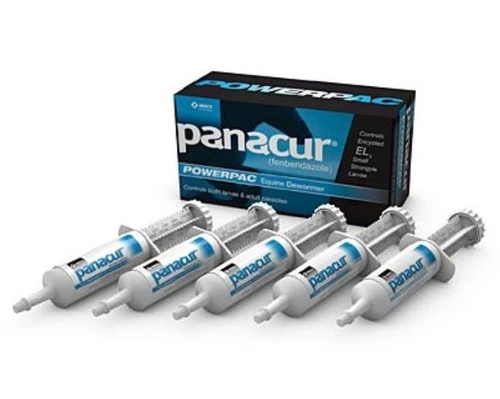 Panacur Powerpac Equine Dewormer