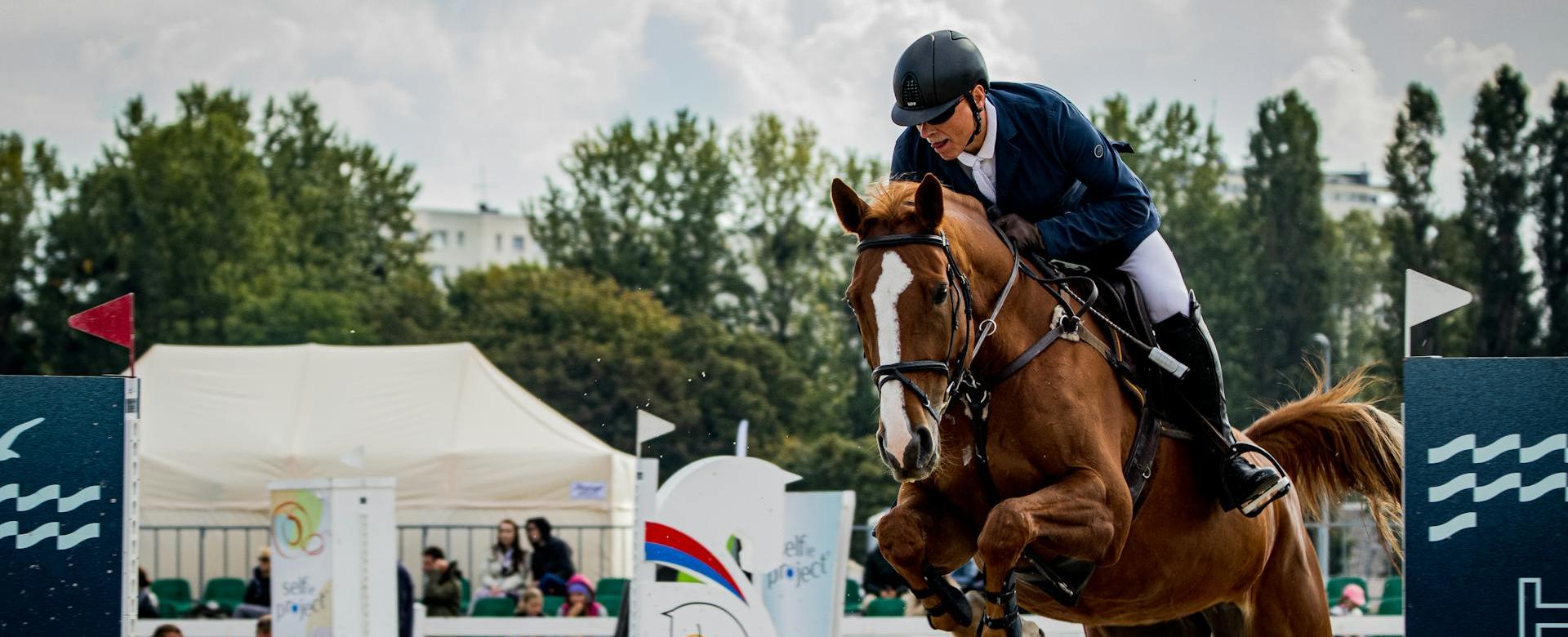 Horse Care Supply Store -Horse Care Supply Store pexels asemirski 13814411