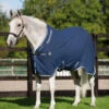 Horseware Ireland Rambo Grand Prix Helix Sheet -Horse Care Supply Store rambo grand prix helix sheet navy beige front horseware 49784.1552758265