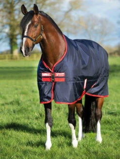 Horseware Ireland Rambo Original Medium Turnout 200g