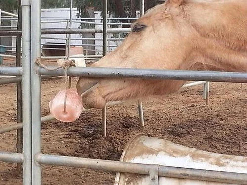 Himalayan Rock Salt On Rope 5 Himalayan Rock Salt On Rope - Image 3