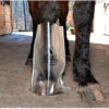 Hoof Wraps Soaking Sack/Liner -Horse Care Supply Store soaker sack 26138 80805.1527304209