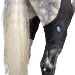 Ice Horse Stifle Wrap -Horse Care Supply Store stifle wrap on horse ice horse 40889.1595626945